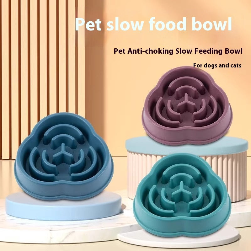 Anti-Choke Slow Feeding Bowl for Dogs