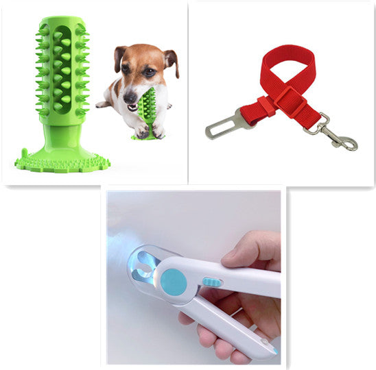 ChewGuard Dog Toothbrush Molar Toy