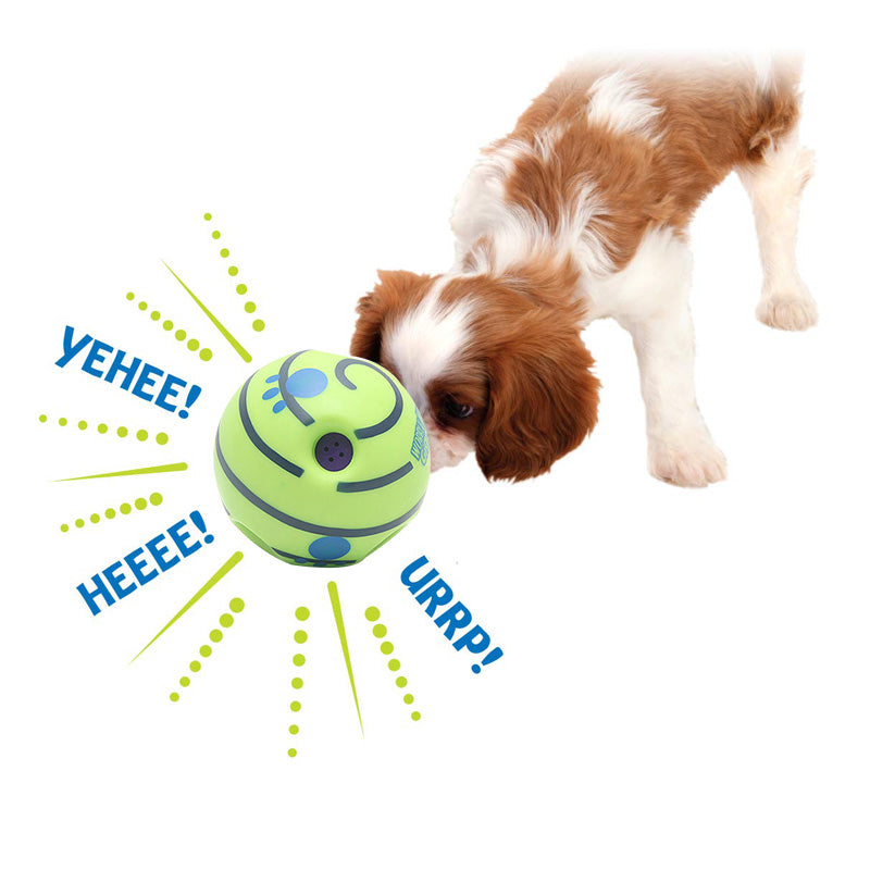 ChewJoy Dog Molar Toy