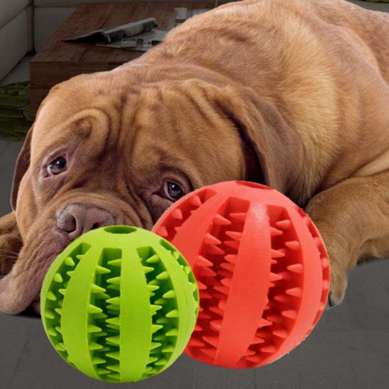ChewyMolar Dog Toy