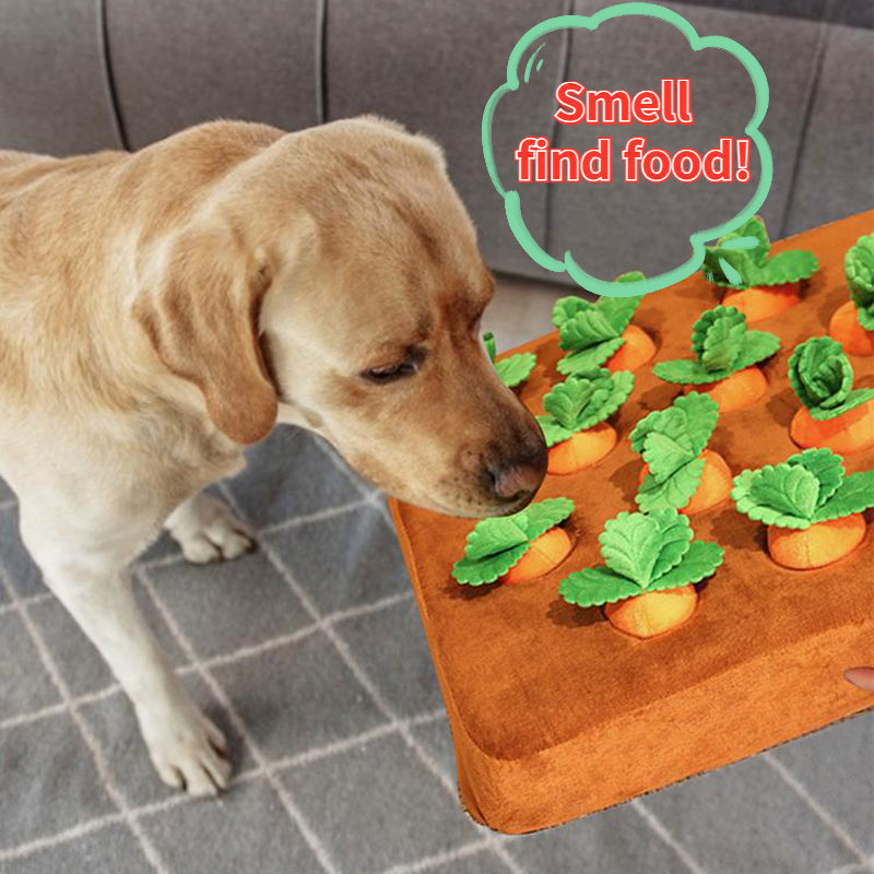 Crunchy Carrot Chew