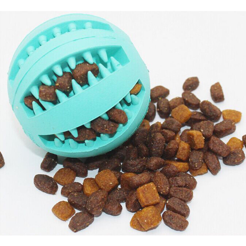 Dog Treat Ball with Mint & Storage