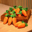 Happy Carrot Buddy