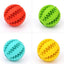 Mint-Flavored Slow Feeder Dog Ball