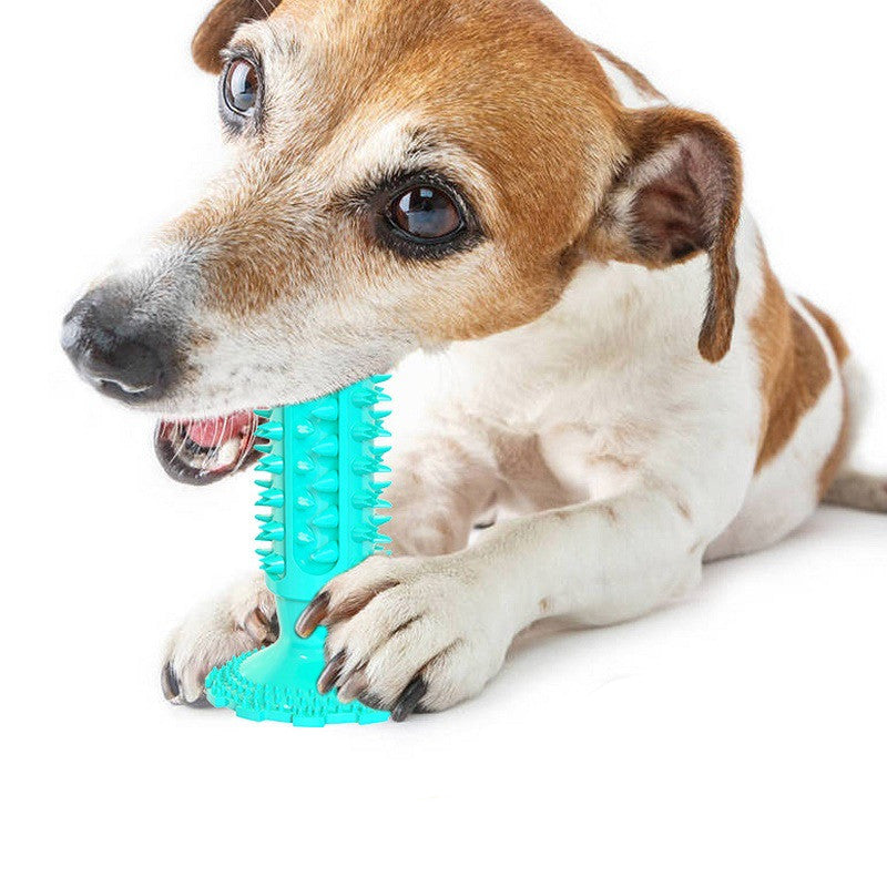 MolarFresh Dog Toothbrush Chew
