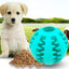 PawBite Slow Feeder Rubber Ball for Dogs