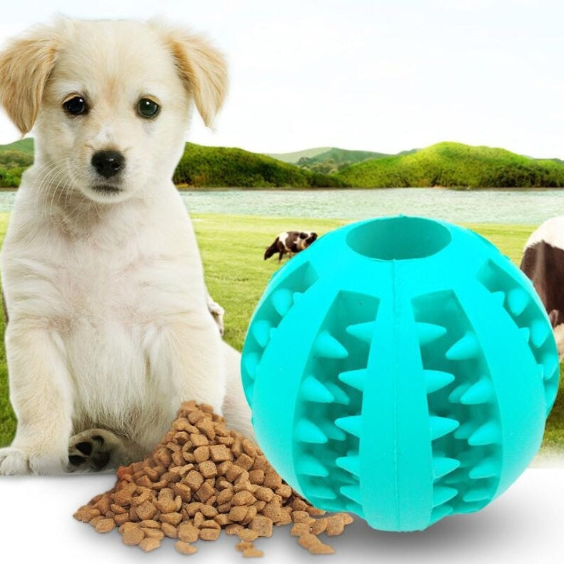 PawBite Slow Feeder Rubber Ball for Dogs