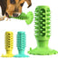 PawClean Sucker Dental Chew Toy