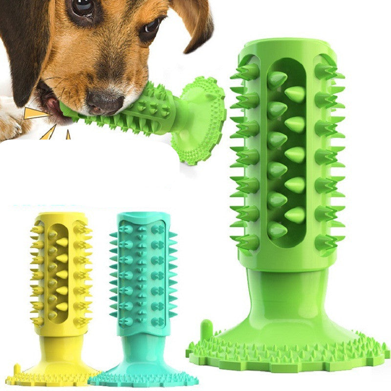 PawClean Sucker Dental Chew Toy