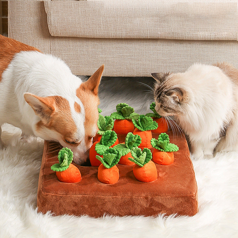 Plushy Veggie Toy