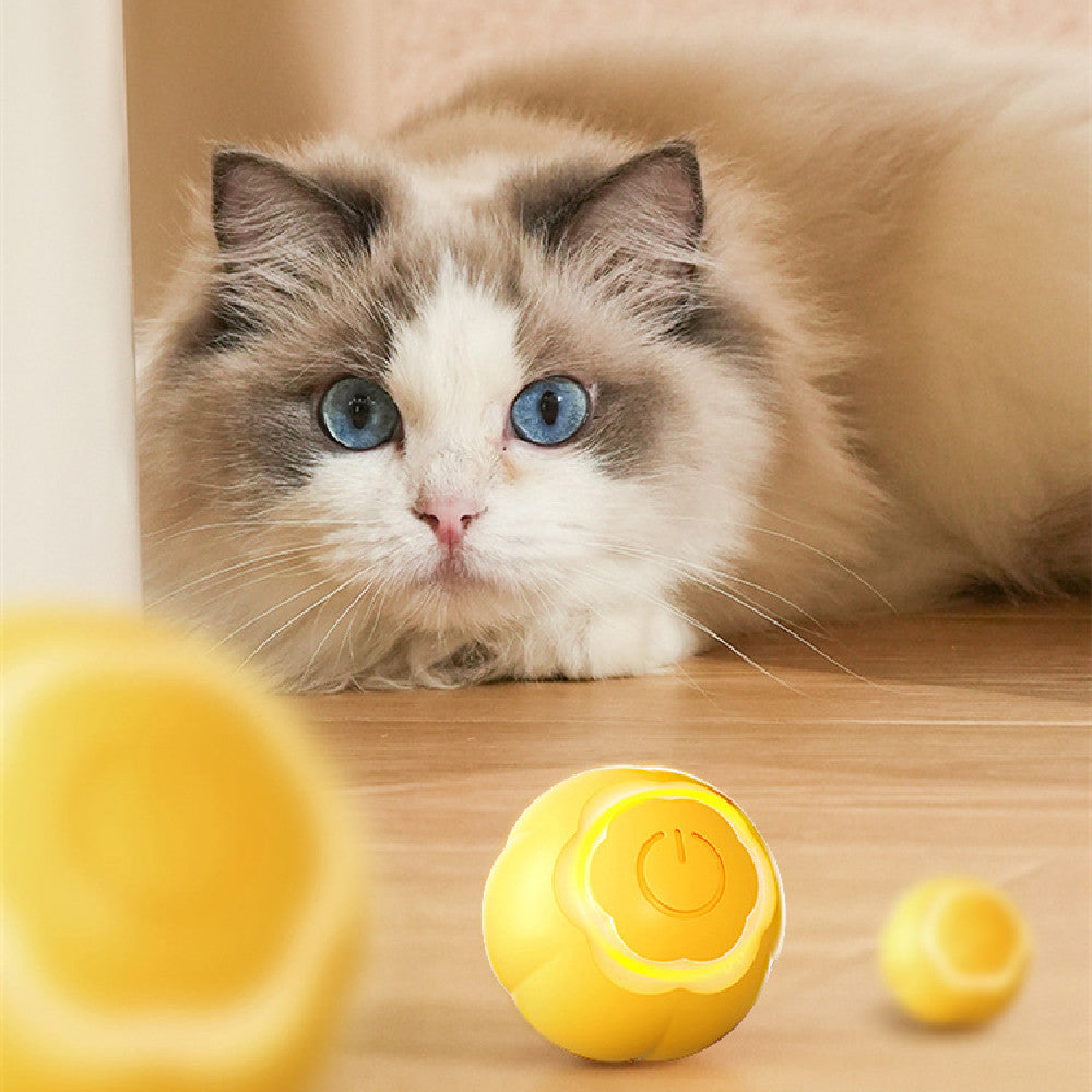 Purrfect Roll Cat Ball – Bite-Resistant Fun Toy