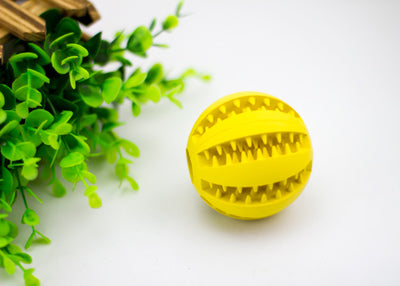 Rubber Mint Dog Food Ball