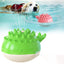 Splash & Play Floating Dog Water Toy