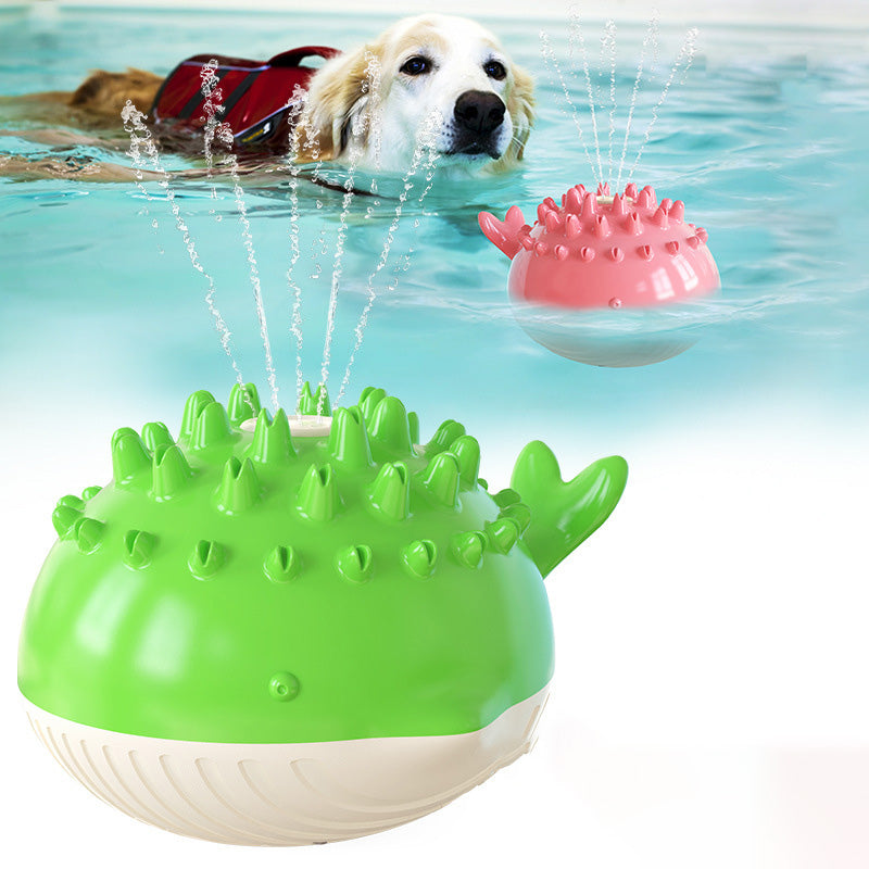 Splash & Play Floating Dog Water Toy