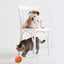 WhiskerSpin Smart USB Cat Ball