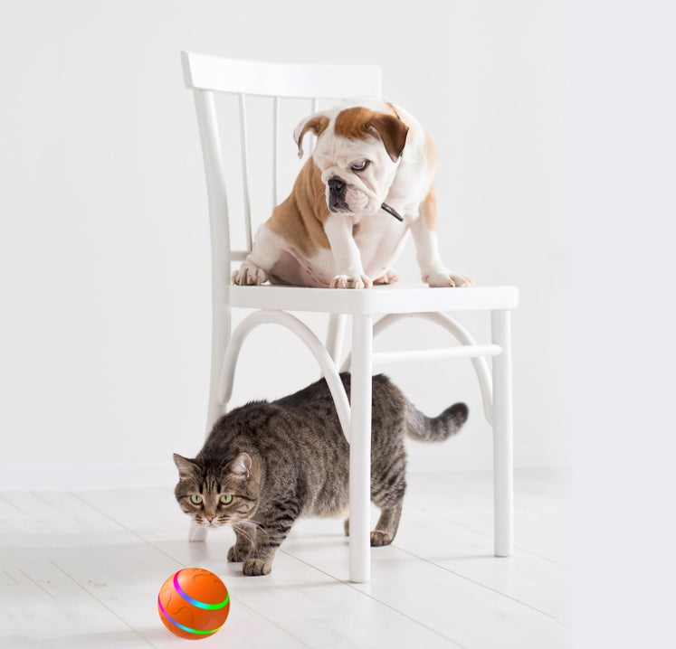 WhiskerSpin Smart USB Cat Ball