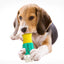 Summer Cooling Pet Chew Toy for Teeth Cleaning