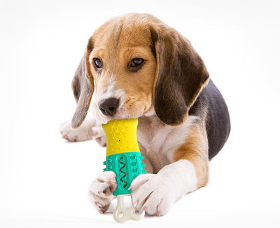 Summer Cooling Pet Chew Toy for Teeth Cleaning
